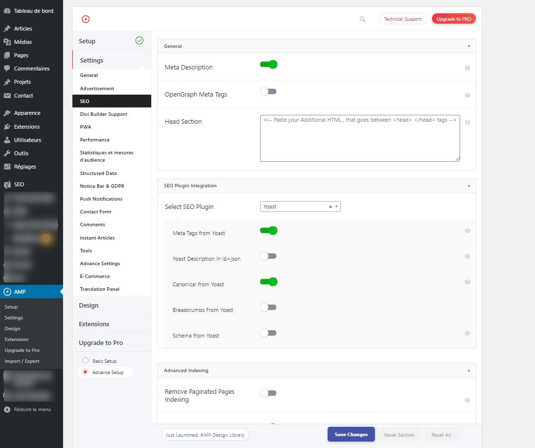 Tableau de bord WordPress pour enlever l’erreur Search Console pages AMP « link rel=canonical » qui apparaît plusieurs fois